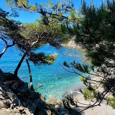 Avec Vue Sur La Daire